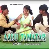 Aalu Tamatar